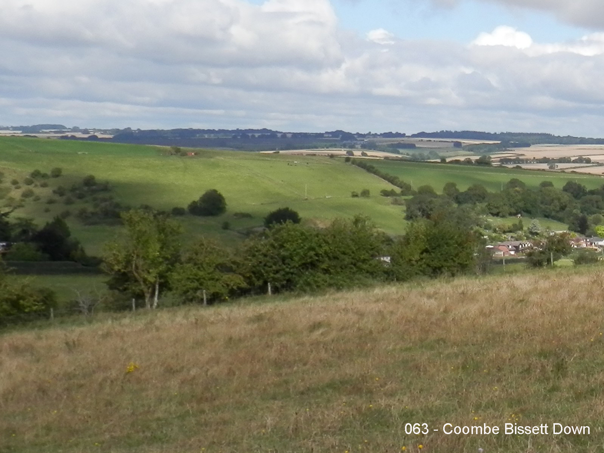 063 - Coombe Bissett Down